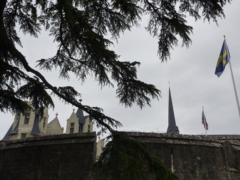 Montreuil Bellay_04.JPG